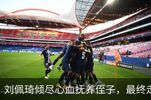 刘佩琦倾尽心血抚养侄子，最终走上法律对峙之路